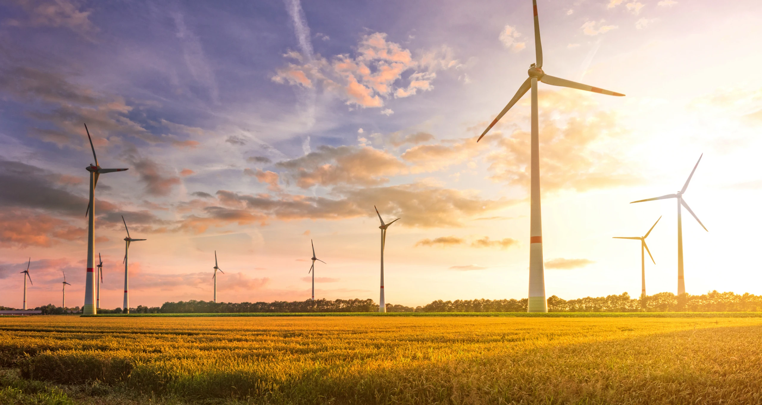 An industry leader specialised in operating, maintaining and optimising wind turbine blades