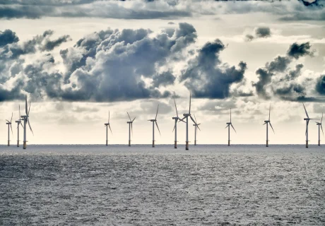 Noordzee, Nederland